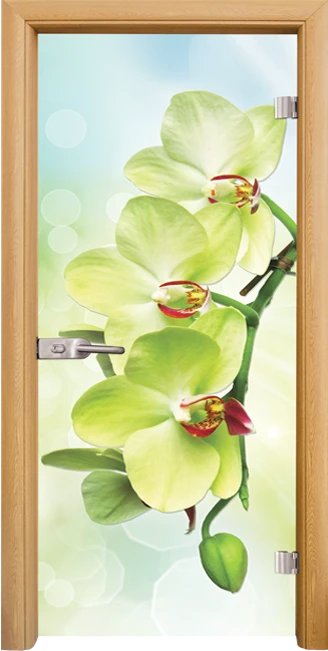 Стъклена врата Print G 13-3 Green, Светъл дъб