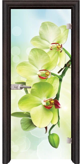 Стъклена врата Print G 13-3 Green, Венге