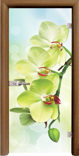Стъклена врата Print G 13-3 Green, Златен дъб