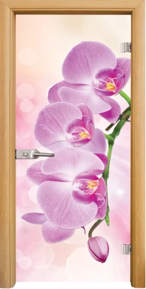 Стъклена врата Print G 13-3 Pink, Светъл дъб